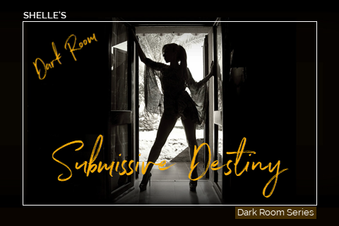 Dark Room - Submissive Destiny | Shelle Rivers